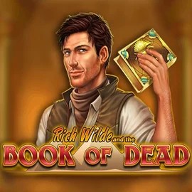 Slots logo of Book of Dead from Play'n GO at High Fly Bet Casino